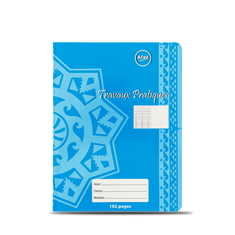 Aureus Pattern Blue Exercise Book